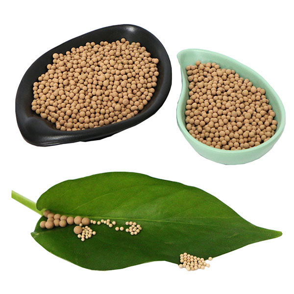 分子篩在中空玻璃生產(chǎn)中的應(yīng)用